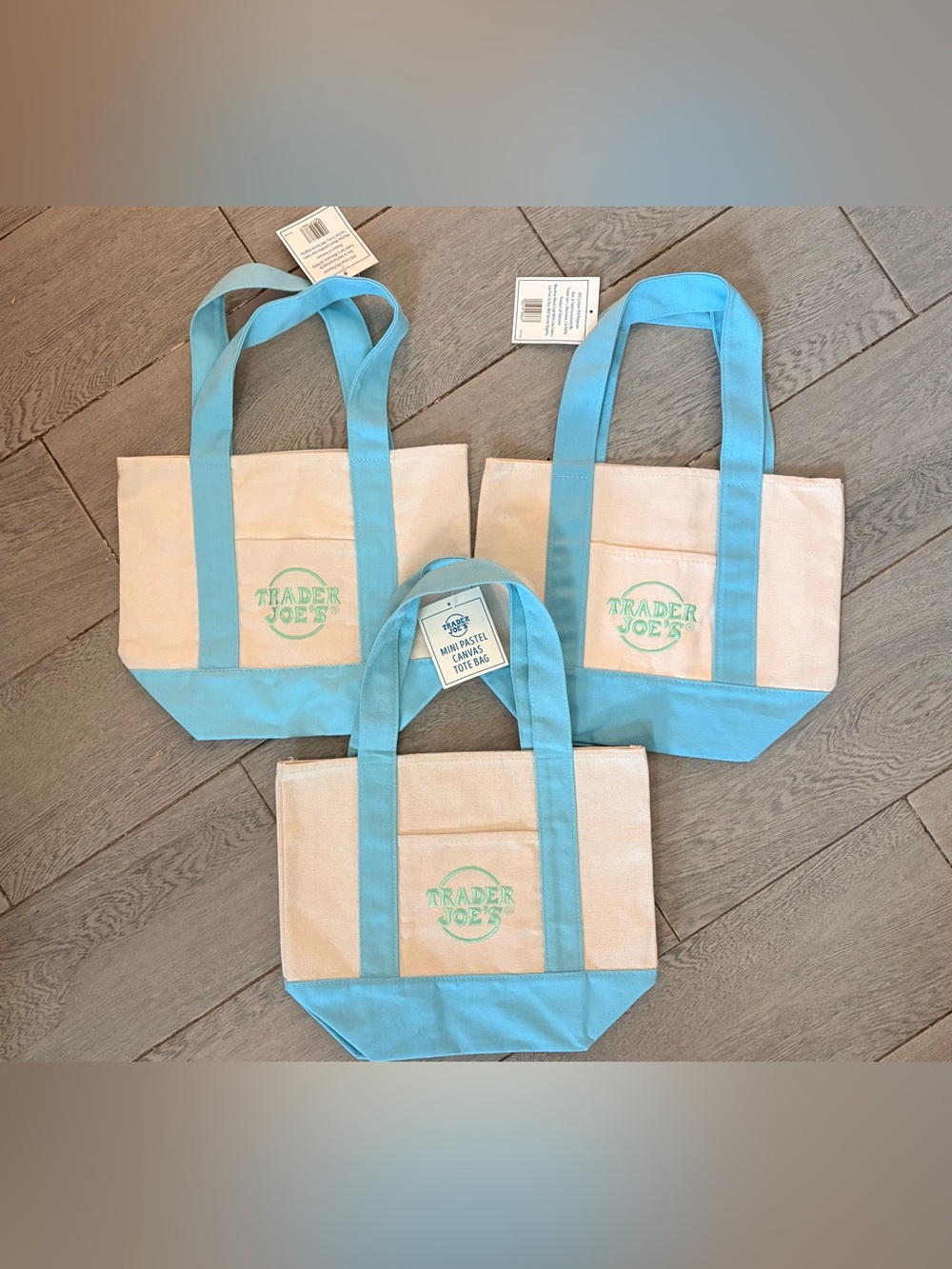 Trader Joe’s - Mini Spring Pastel Tote Bags - Set of 3 in Blue